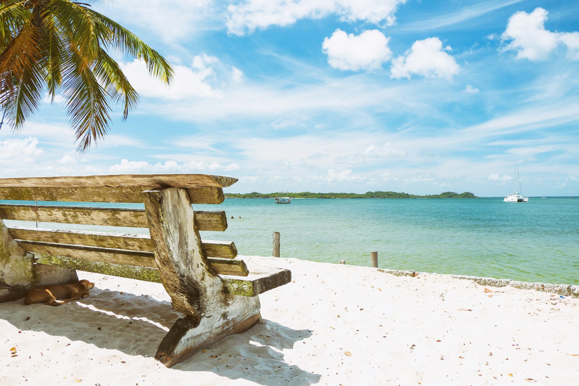 brown wooden bench on white beach sand